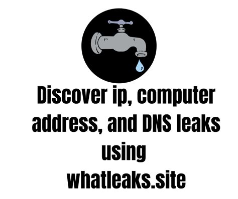 check for ip leak|WhatLeaks 